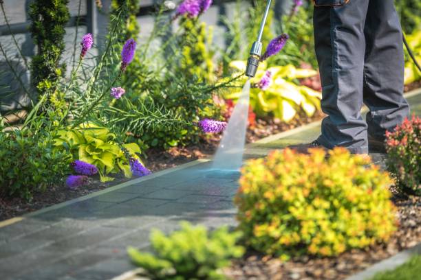 Best Animal Enclosure Cleaning  in Loveland Park, OH